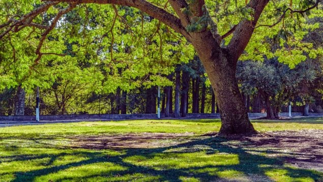 Parque en Madrid