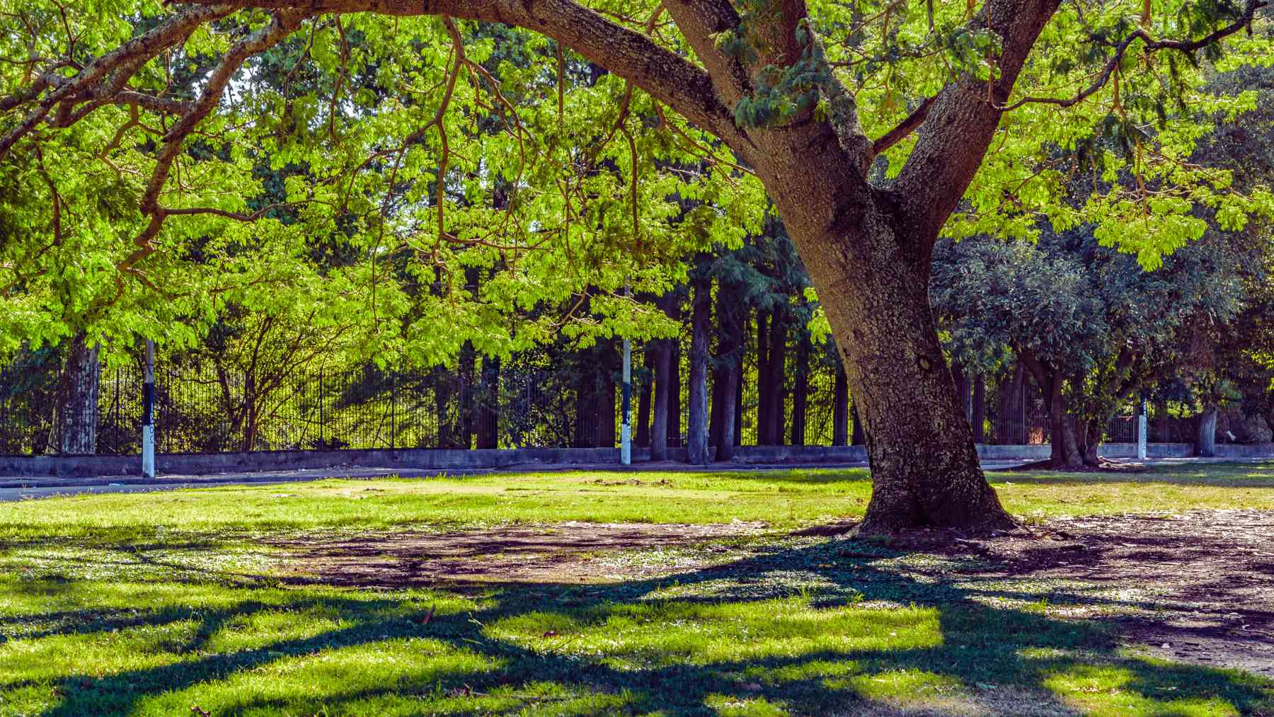 Parque de Polvoranca.