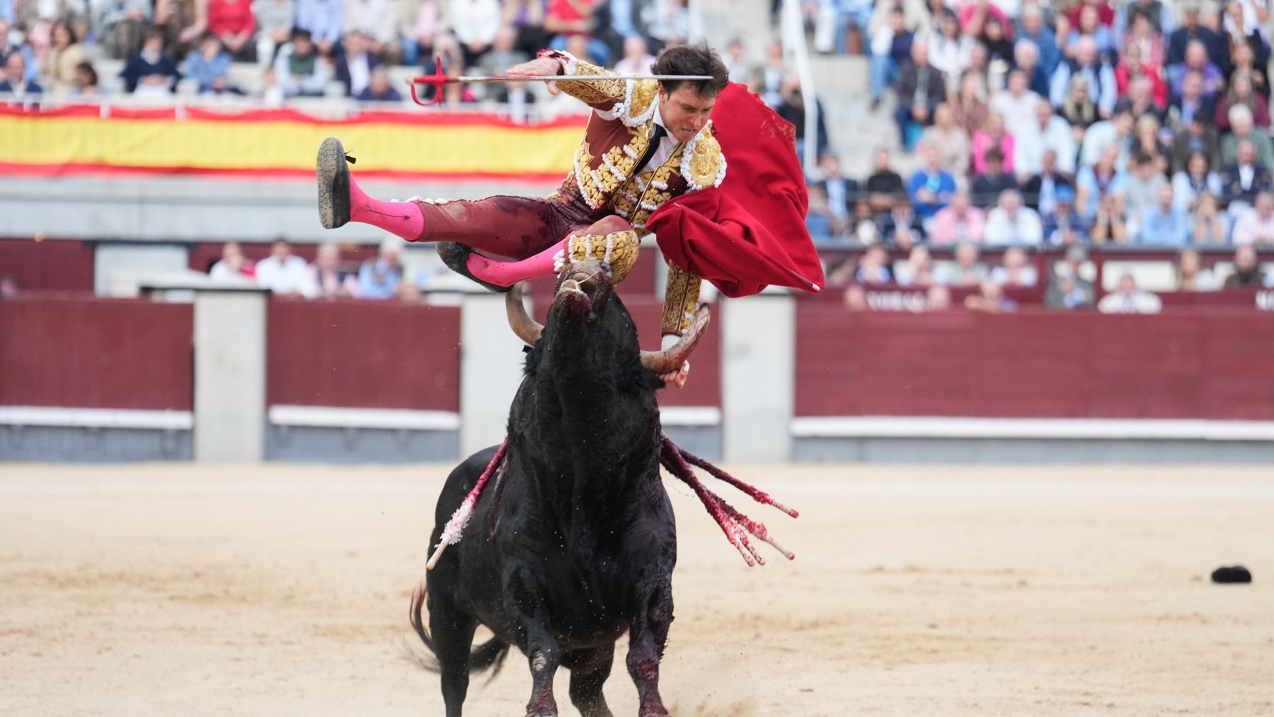 Cogida sufrida por Roca Rey en Las Ventas, este domingo. (EFE)