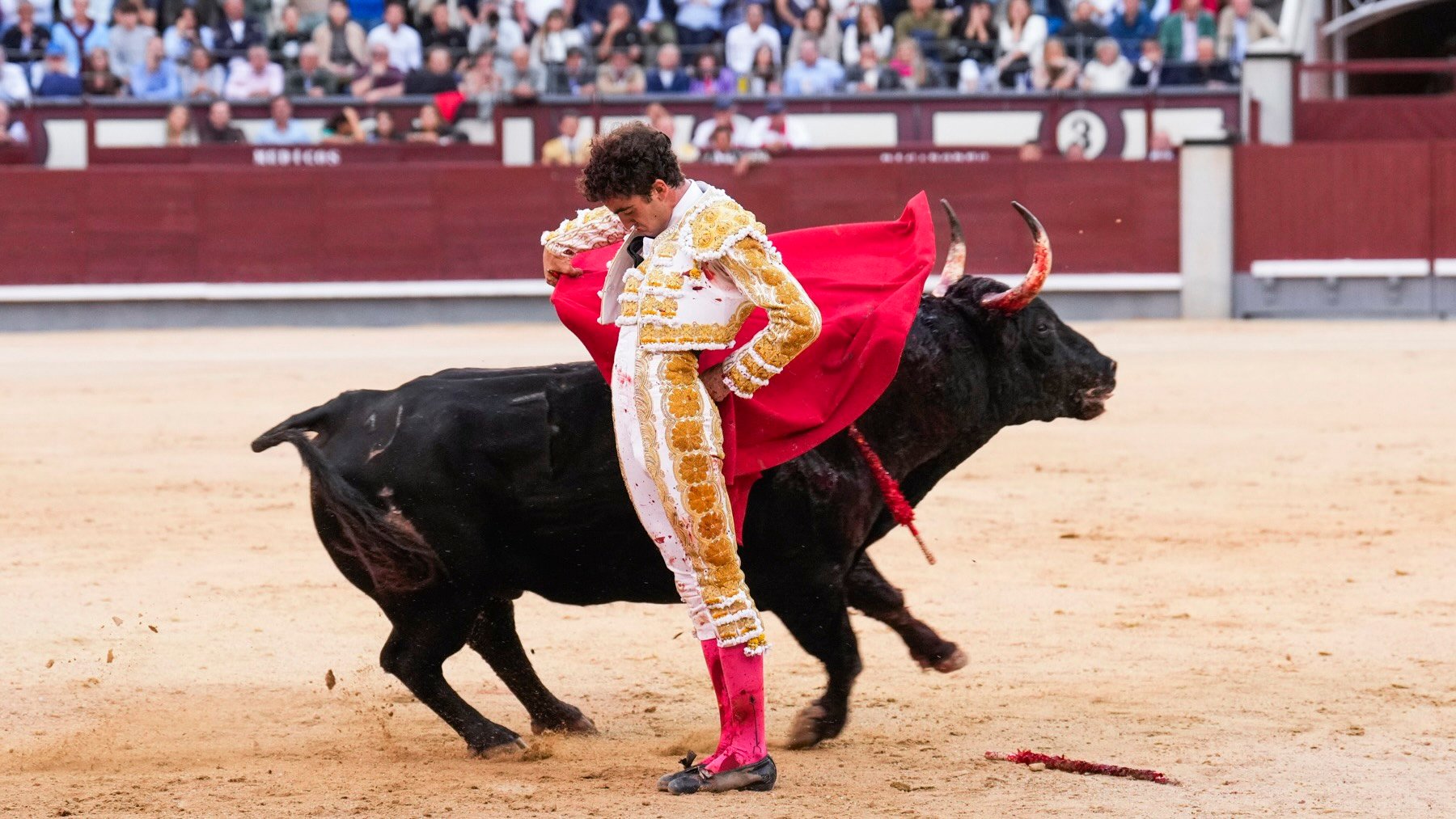 Víctor Hernández, durante la faena que le valió una oreja. (EFE)