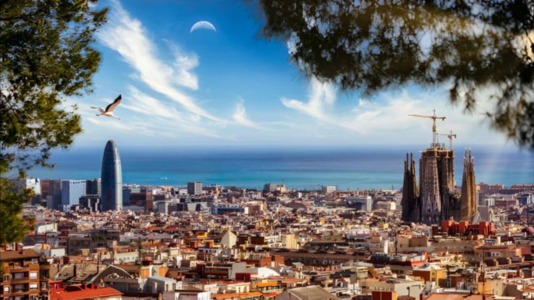 Día de la hispanidad en Barcelona los mejores planes para hacer el 12 de octubre