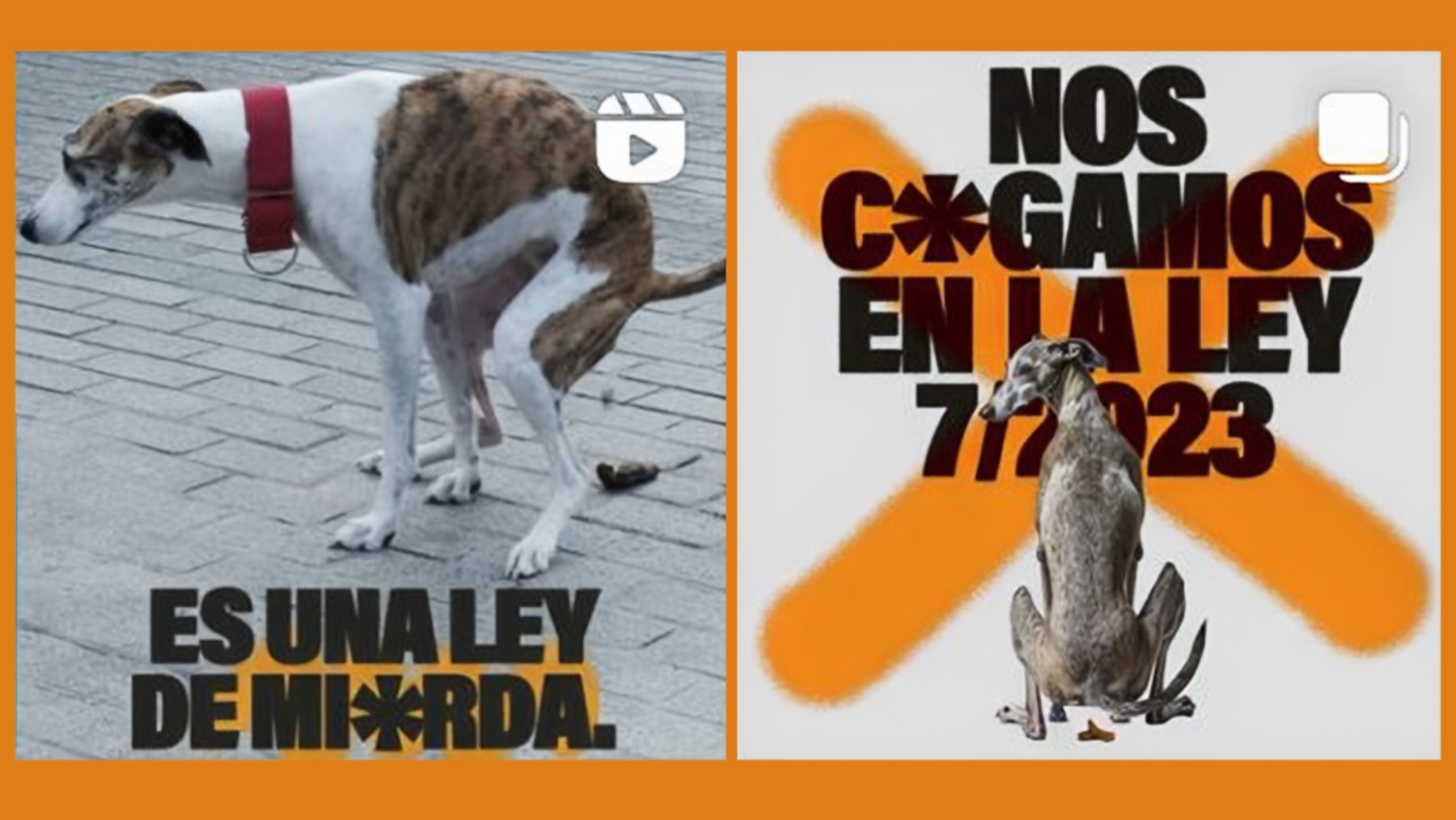 Parte de las imágenes de la campaña de SOS Galgos