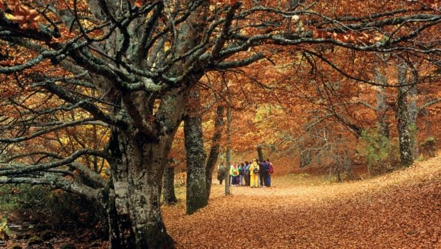 Pueblos, otoño, Madrid