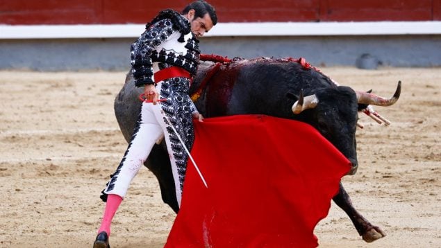 Defensora menor toros