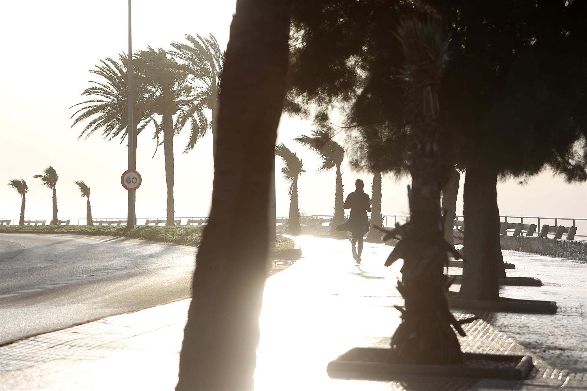 Imagen de archivo del Paseo Marítimo Palma. Foto: Isaac Buj