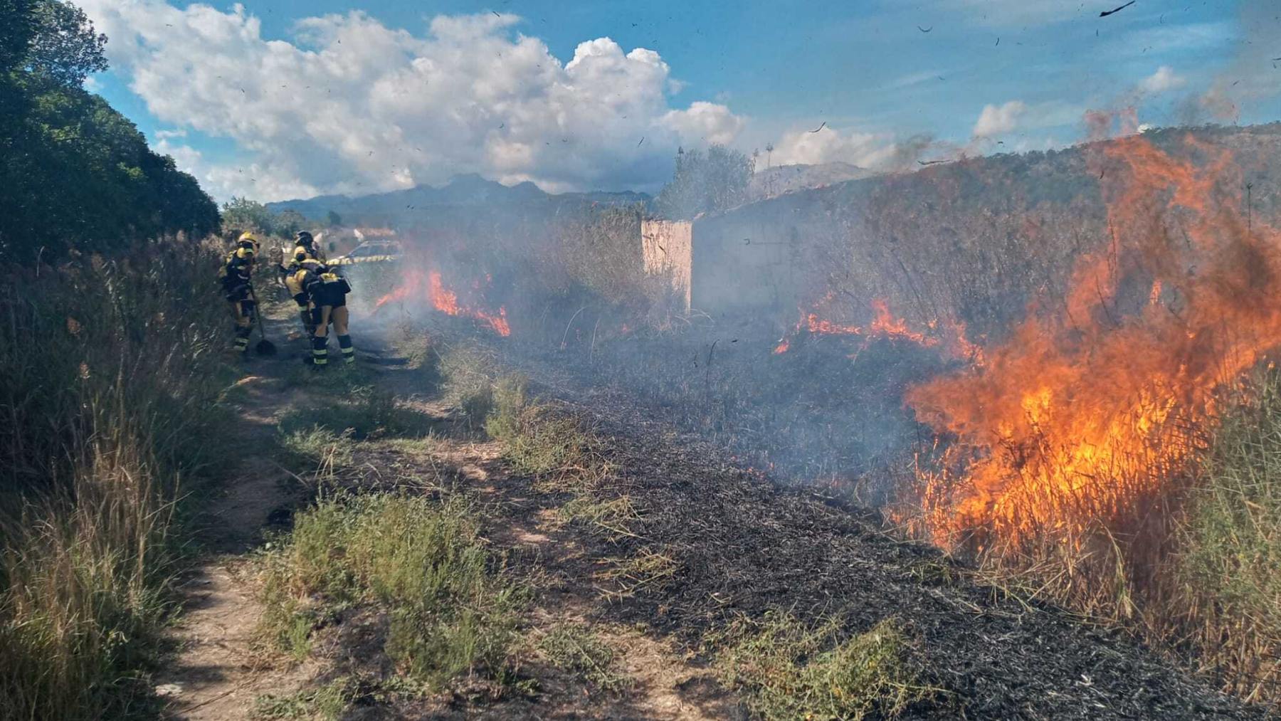 Incendio en s’Albufera de sa Pobla.