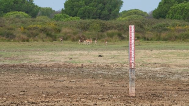 Doñana Santa Olalla