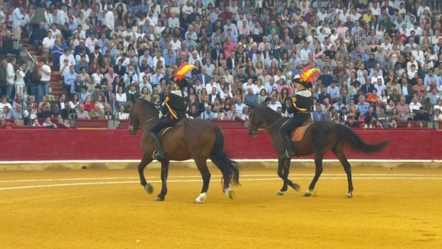 Zaragoza alguacililla toros