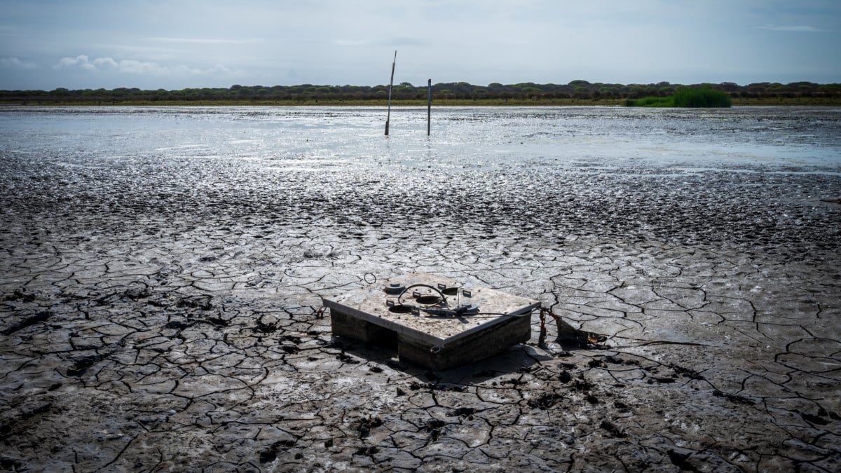 Laguna de Santa Olalla el pasado lunes 7 de octubre (Foto: Alejandro Muñoz, Estación Biológica de Doñana – CSIC)