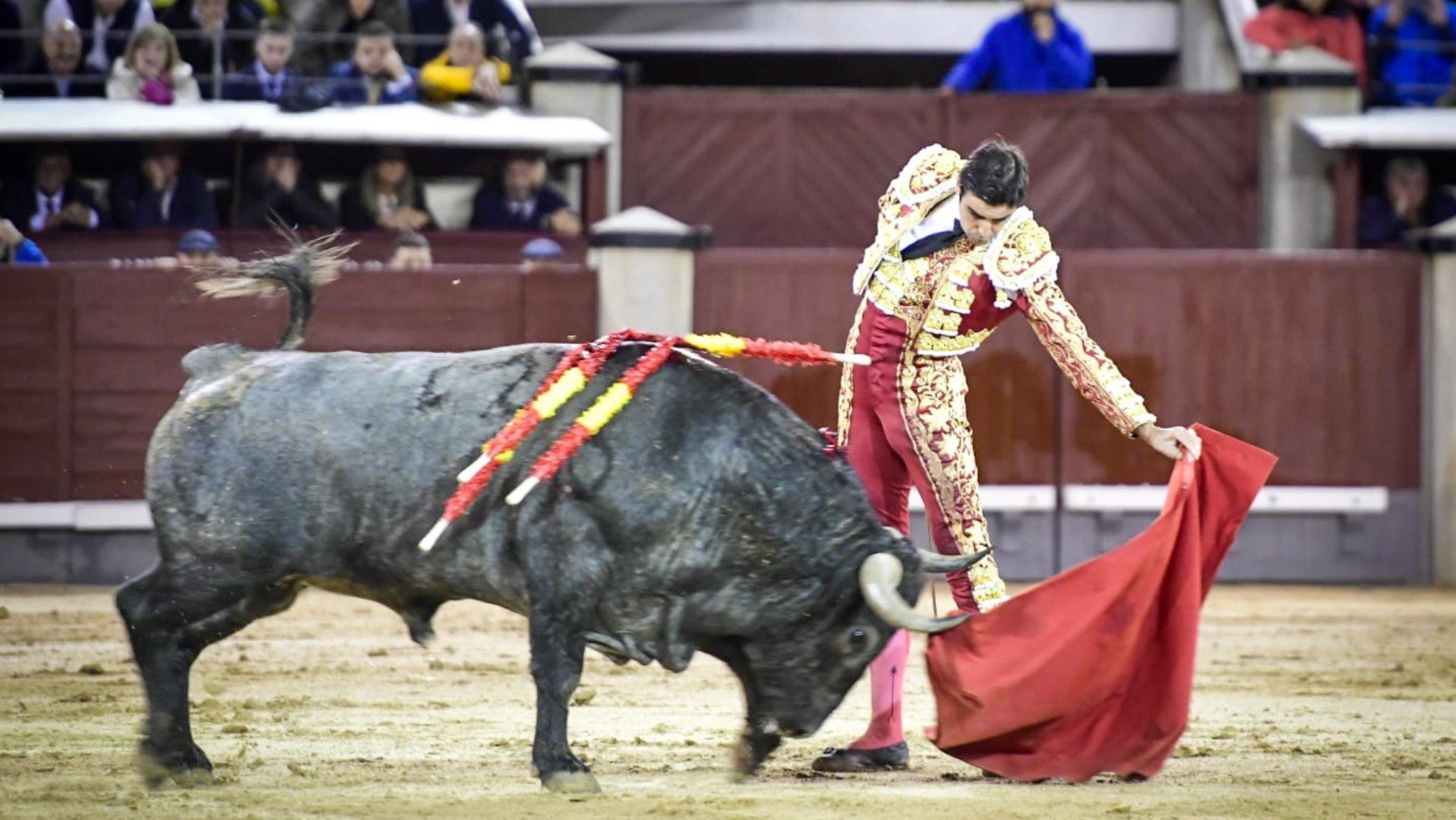 Perera en el quinto toro de Victorio Martín. (Foto: Plaza 1)