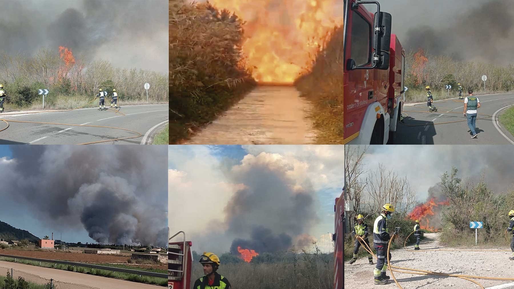 Incendios en s’Albufera de Mallorca.