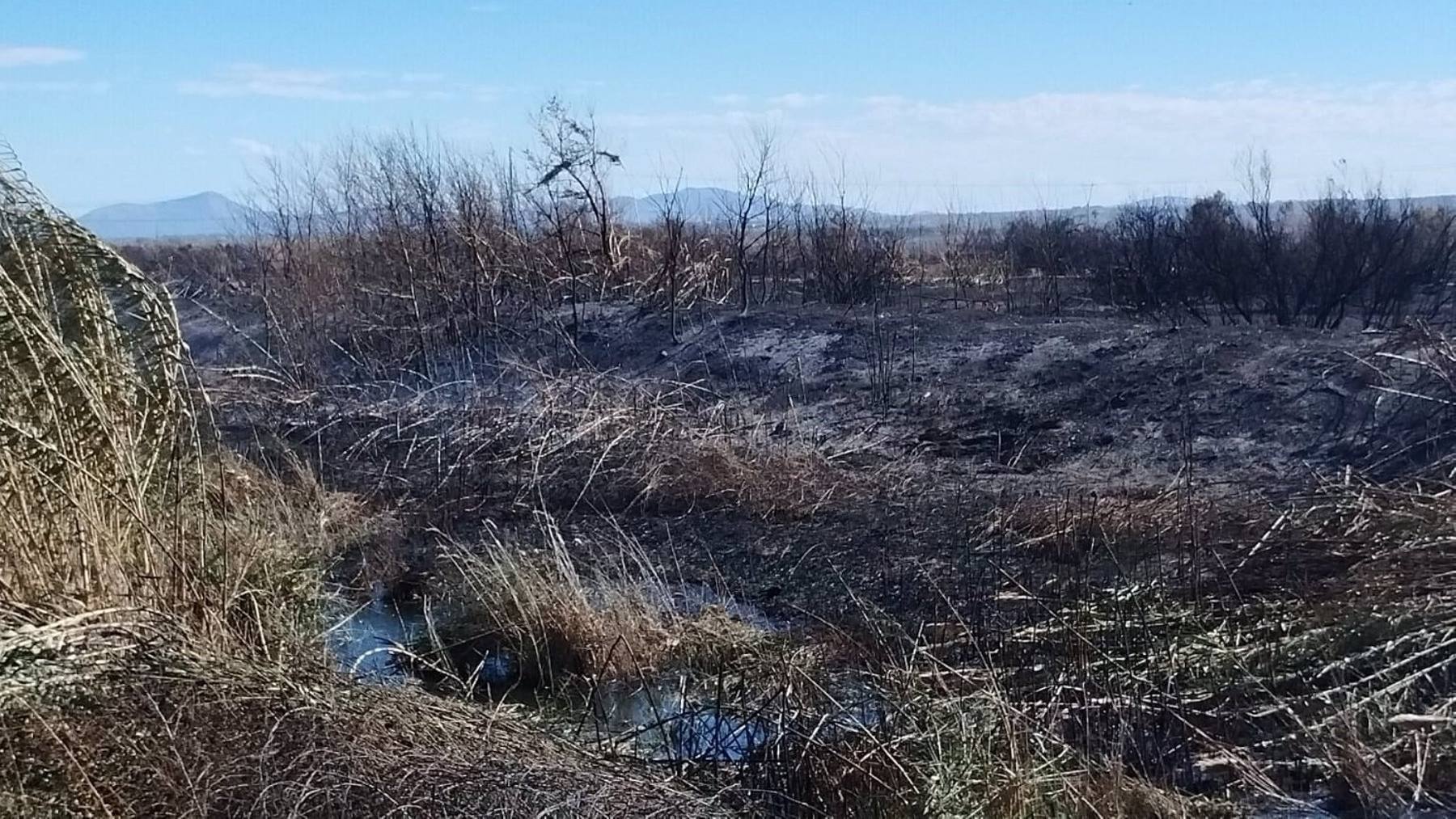 Terreno incendiado.