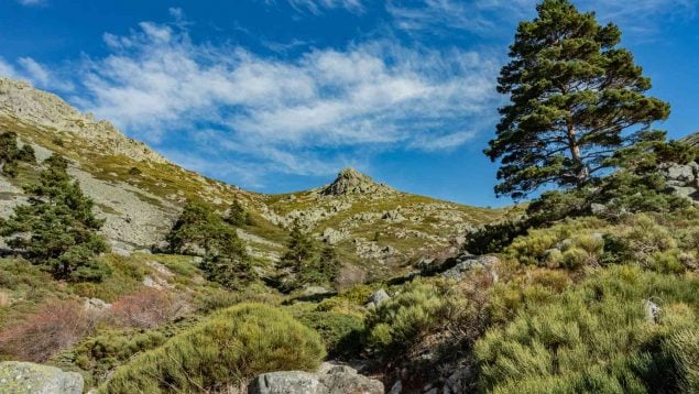 Parece Osaka pero está en España: el pueblo de 100 habitantes que está a una hora de Madrid