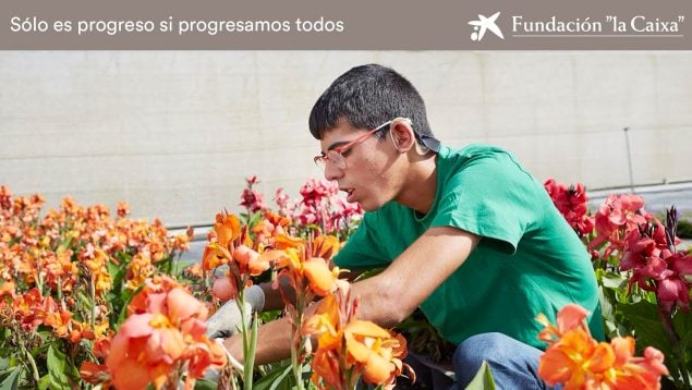 Escuchar y acompañar a los jóvenes con problemas de salud mental en el  camino de la inserción laboral