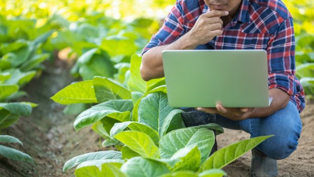 Agricultura ecológica