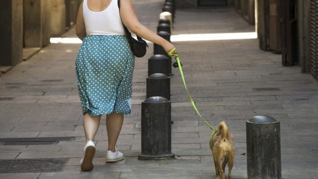 perro, barcelona