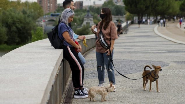 perros, paseando