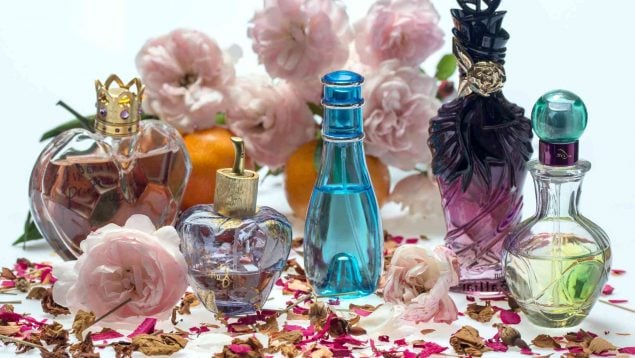 Perfumes que llevan los ricos