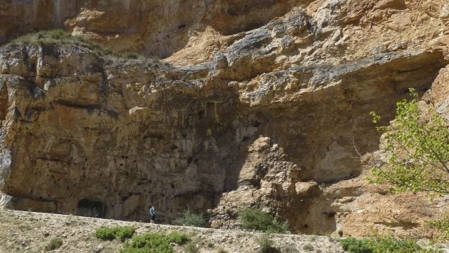 naturaleza, barranco, Zaragoza