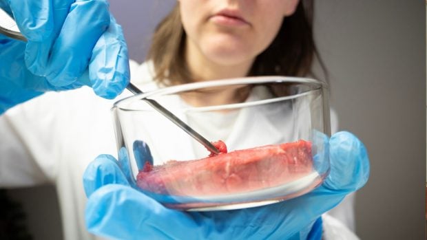 Alimentos del futuro