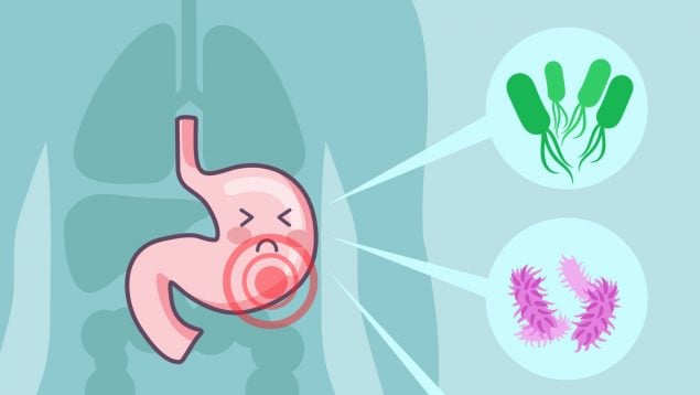 vacuna de ARNm contra la gastroenteritis