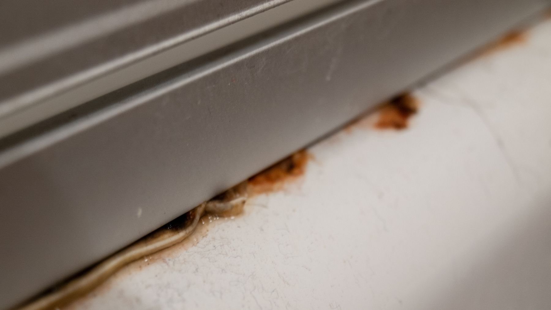 El truco de la Ordenatriz para dejar la silicona del baño como el primer día