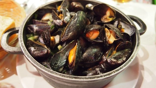 Una europea deja sin palabras a un gallego: llevaba toda la vida comiendo mal los mejillones