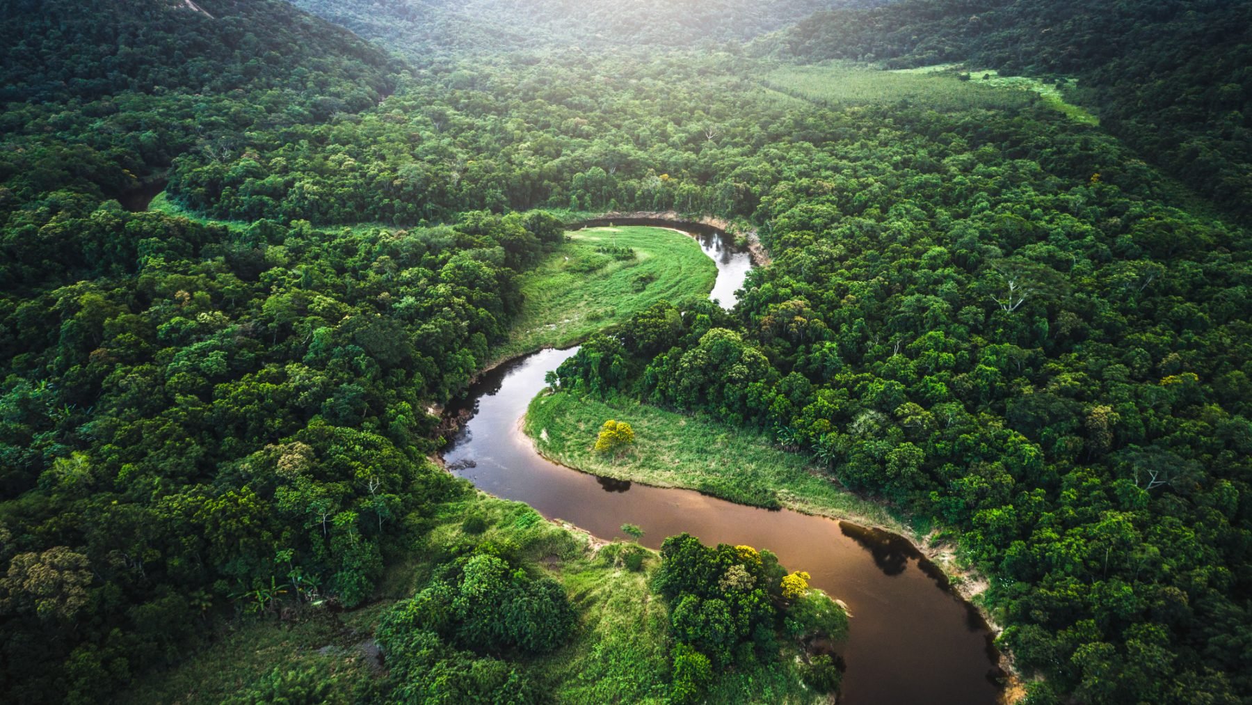 El Amazonas a su paso por brasil