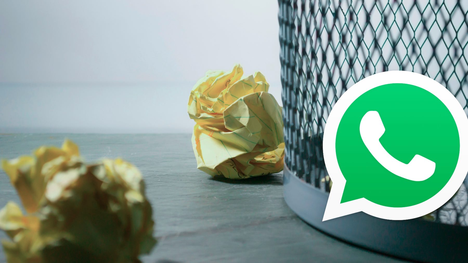 Papelera WhatsApp