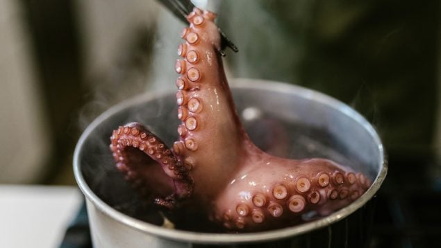 Pulpo, trucos de cocina