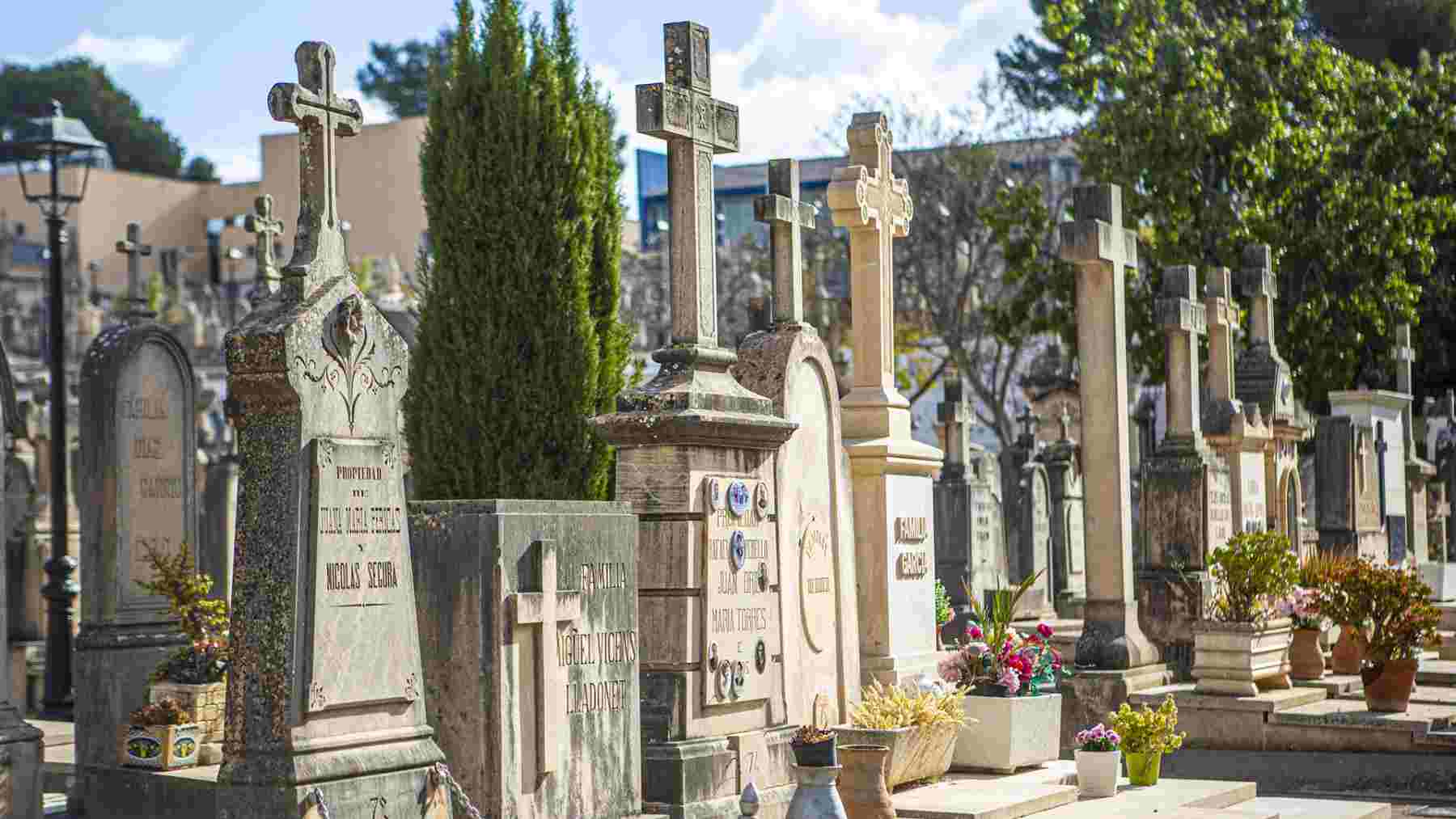 Imagen del cementerio central de Palma.