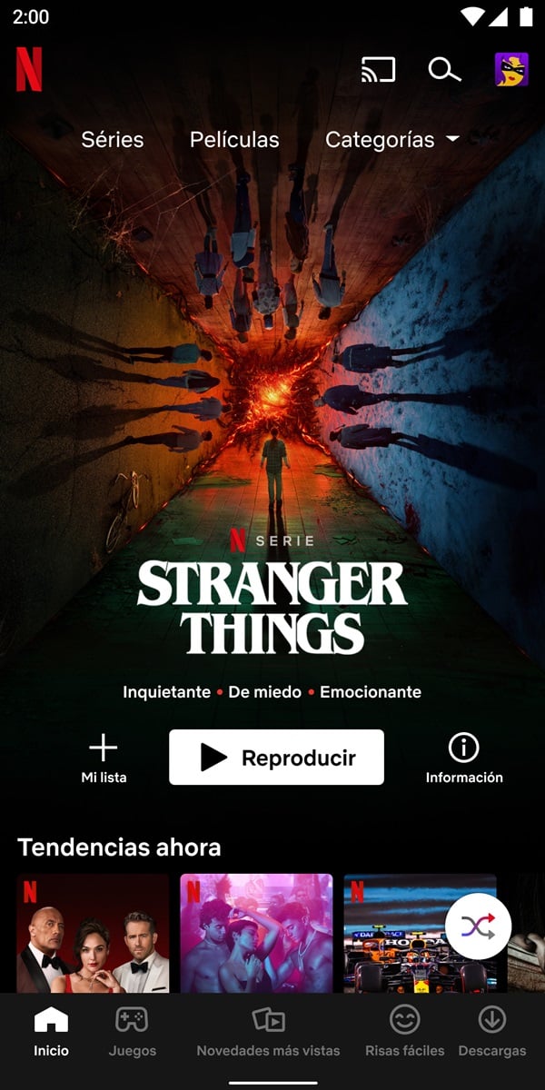 Netflix funcionalidad