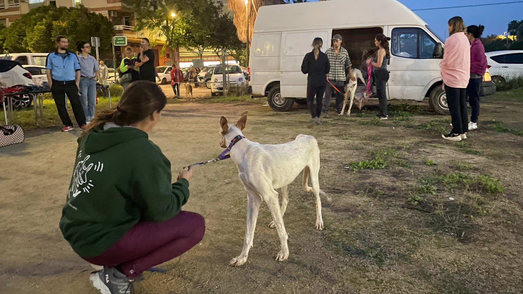 El campo de fútbol del Sporting Benimaclet se ha convertido en un punto donde se centraliza una primera atención y la acogida temporal de animales