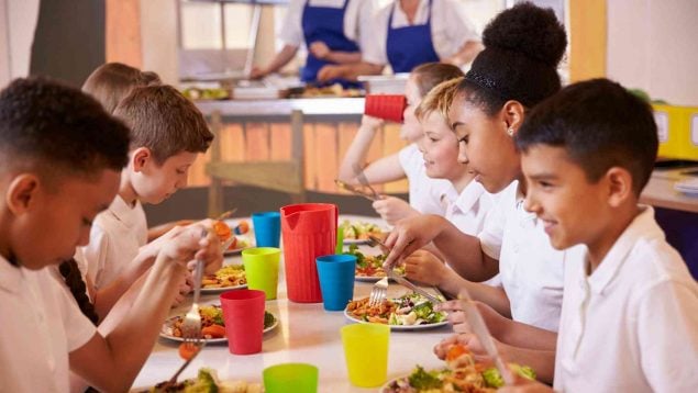 Becas para el comedor escolar en la Comunidad de Madrid