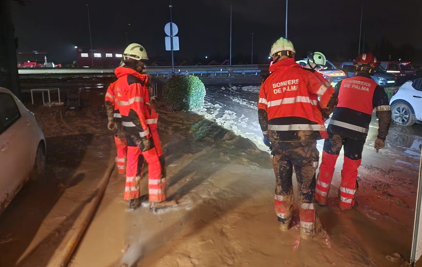 Operativo de Bomberos de Palma trabajando en la zona de Alfafar.