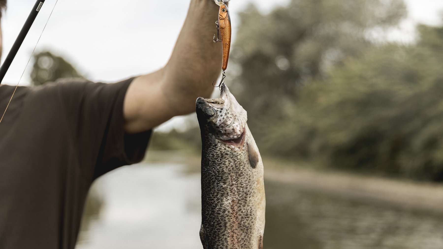 Hombre pescando un salmón. Foto: Freepik.