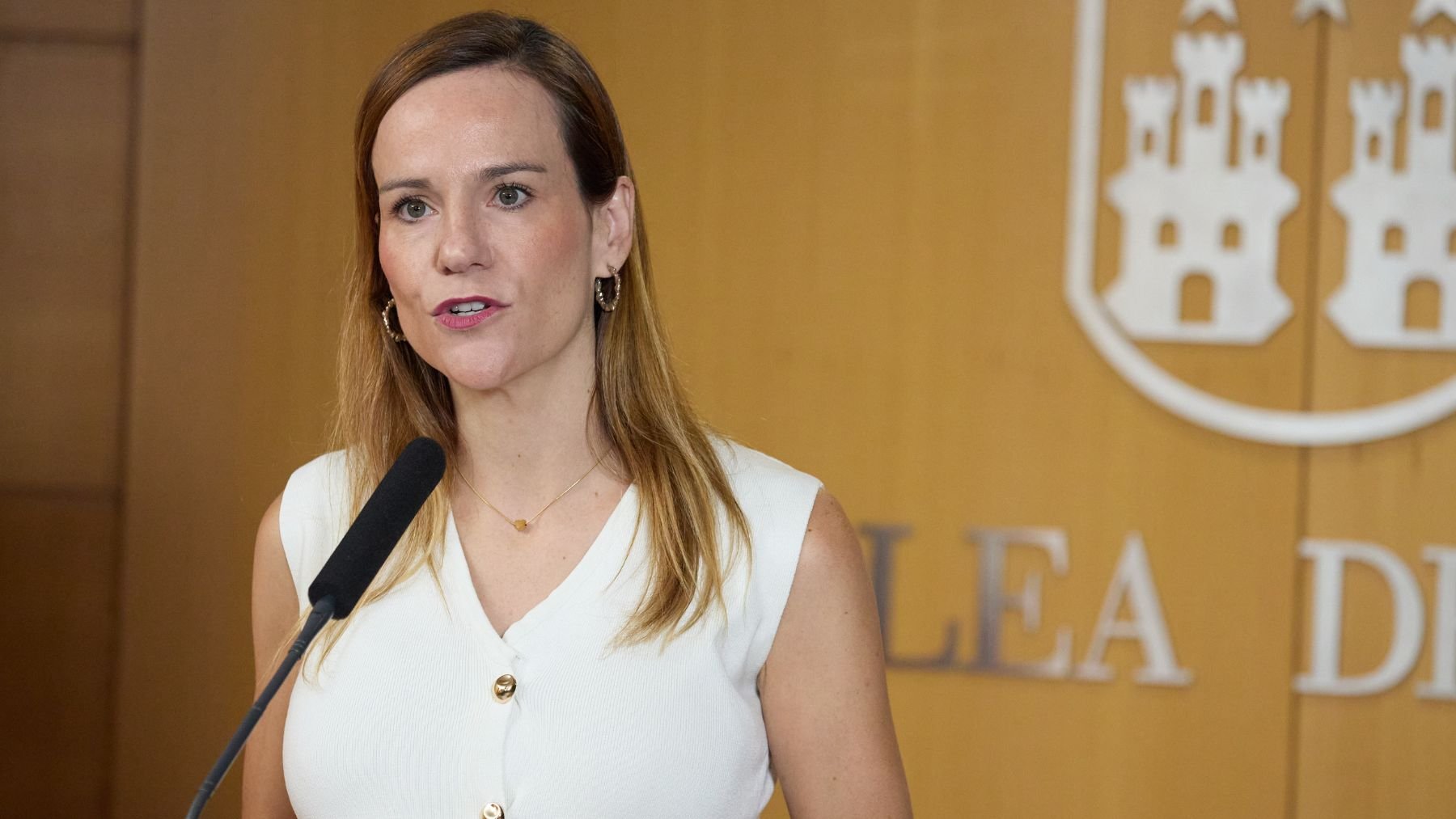 Isabel Pérez Moñino-Aranda, portavoz de Vox en la Asamblea. (Foto: EP)