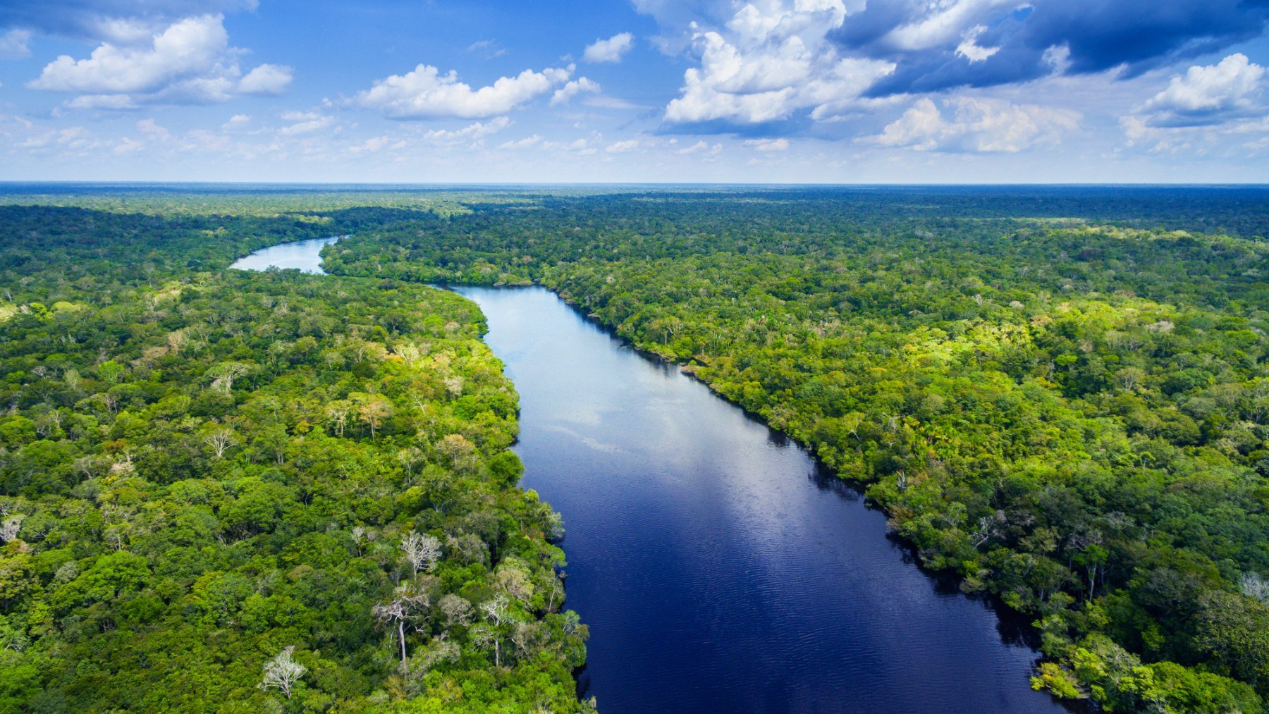 Río Amazonas