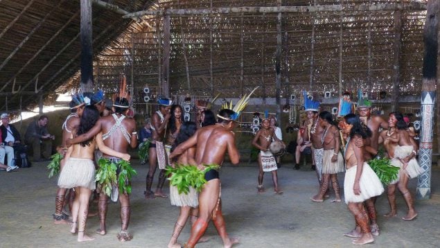 Brasil, Amazonas, Tribu, Selva, Civilización