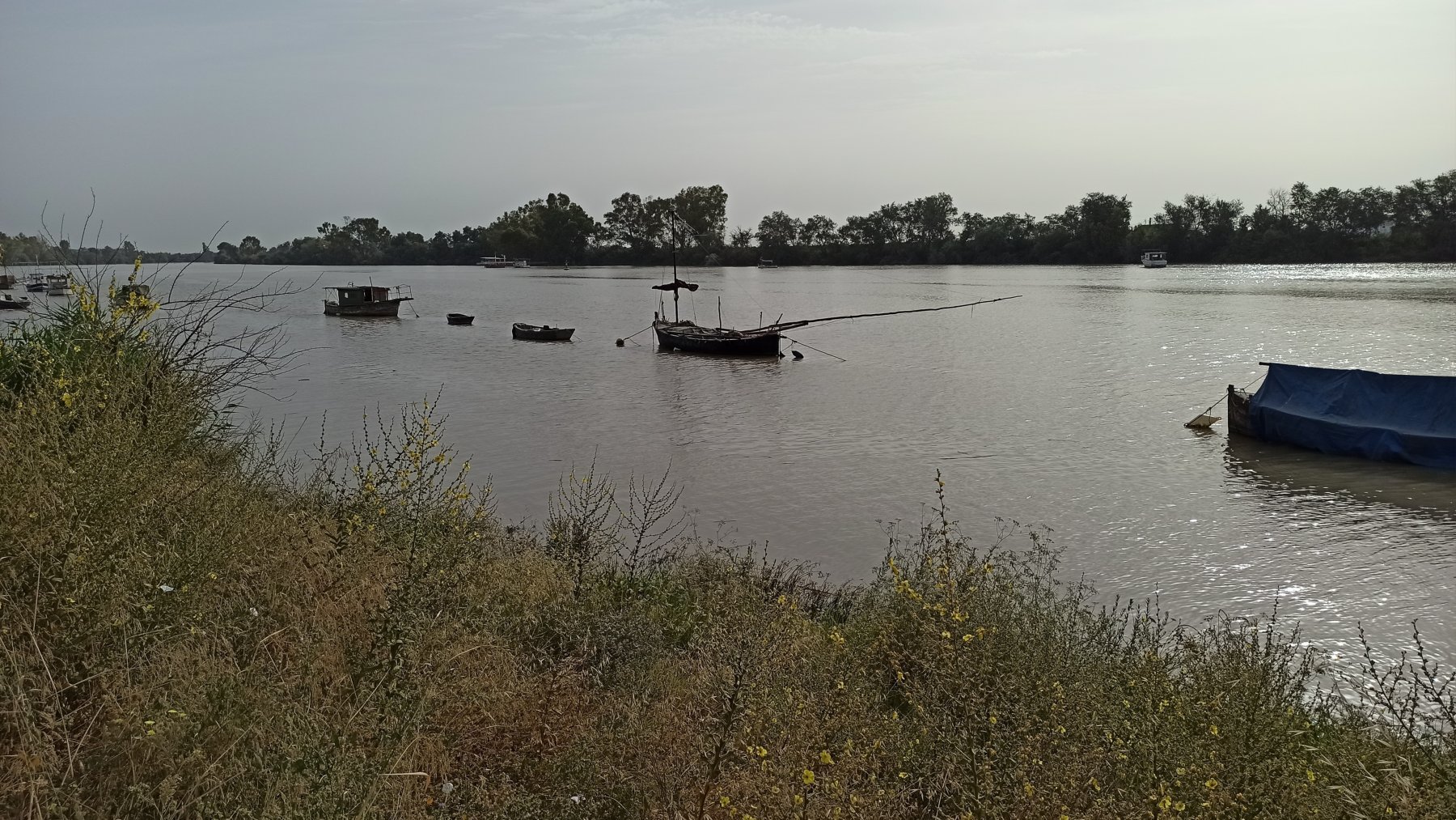 El río Guadalquivir a su paso por Coria del Río. (Foto: EP)