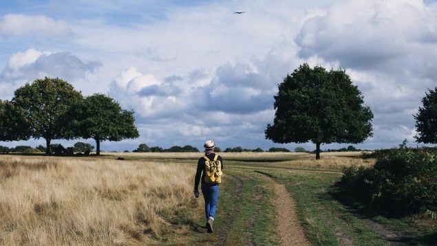 mujer, caminando, senderismo, naturaleza