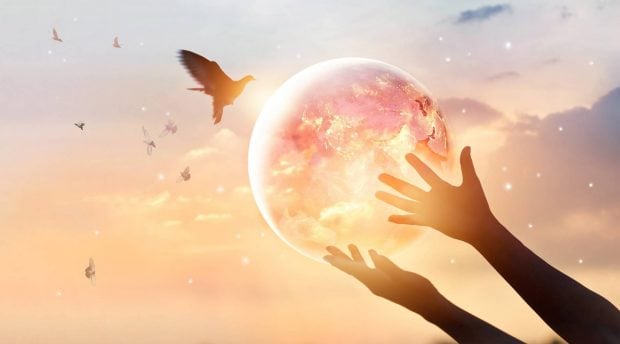 Ciencia y políticas públicas