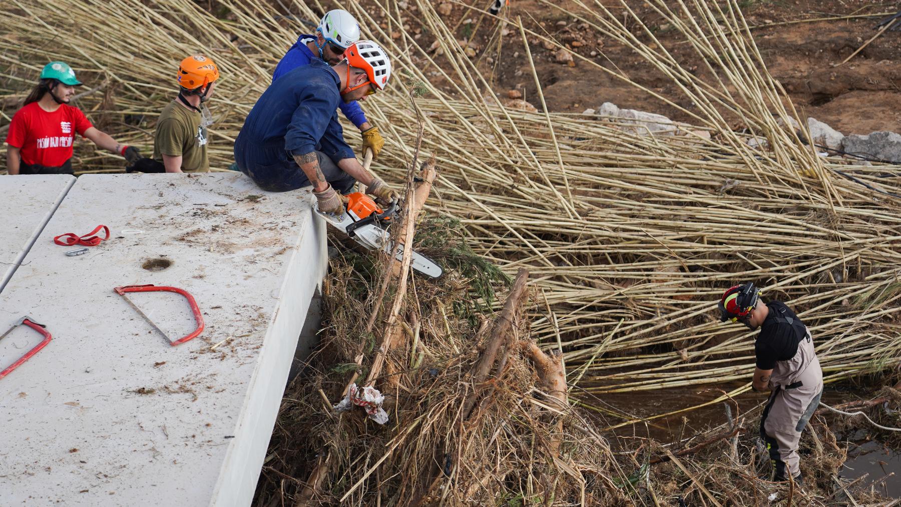 Efectivos de la UME trabajan quitando árboles, a 7 de noviembre de 2024, en Cheste, Valencia. (Fotos: Europa Press)