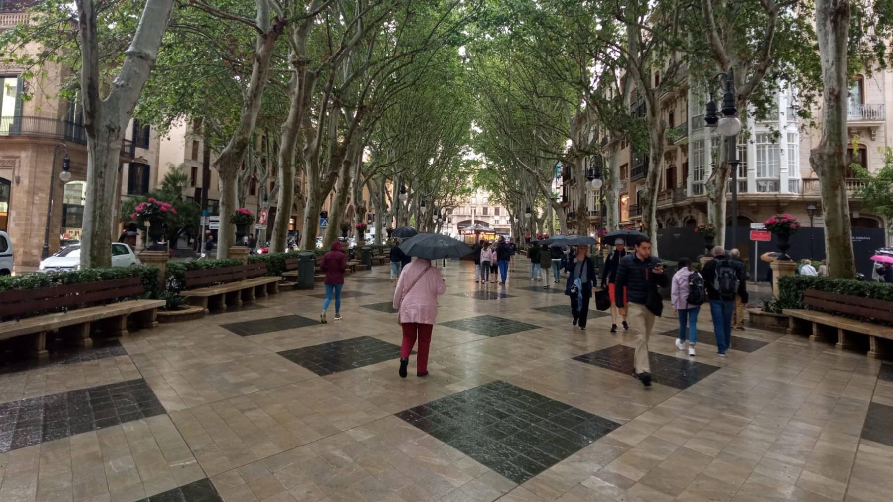 Varias personas pasean por el centro de Palma en un día de lluvia.