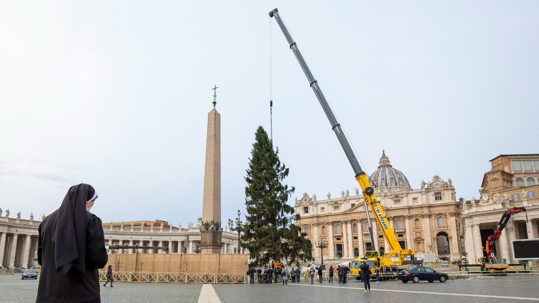 Colocación del un abeto de 133 años en el Vaticano en la Navidad de 2021