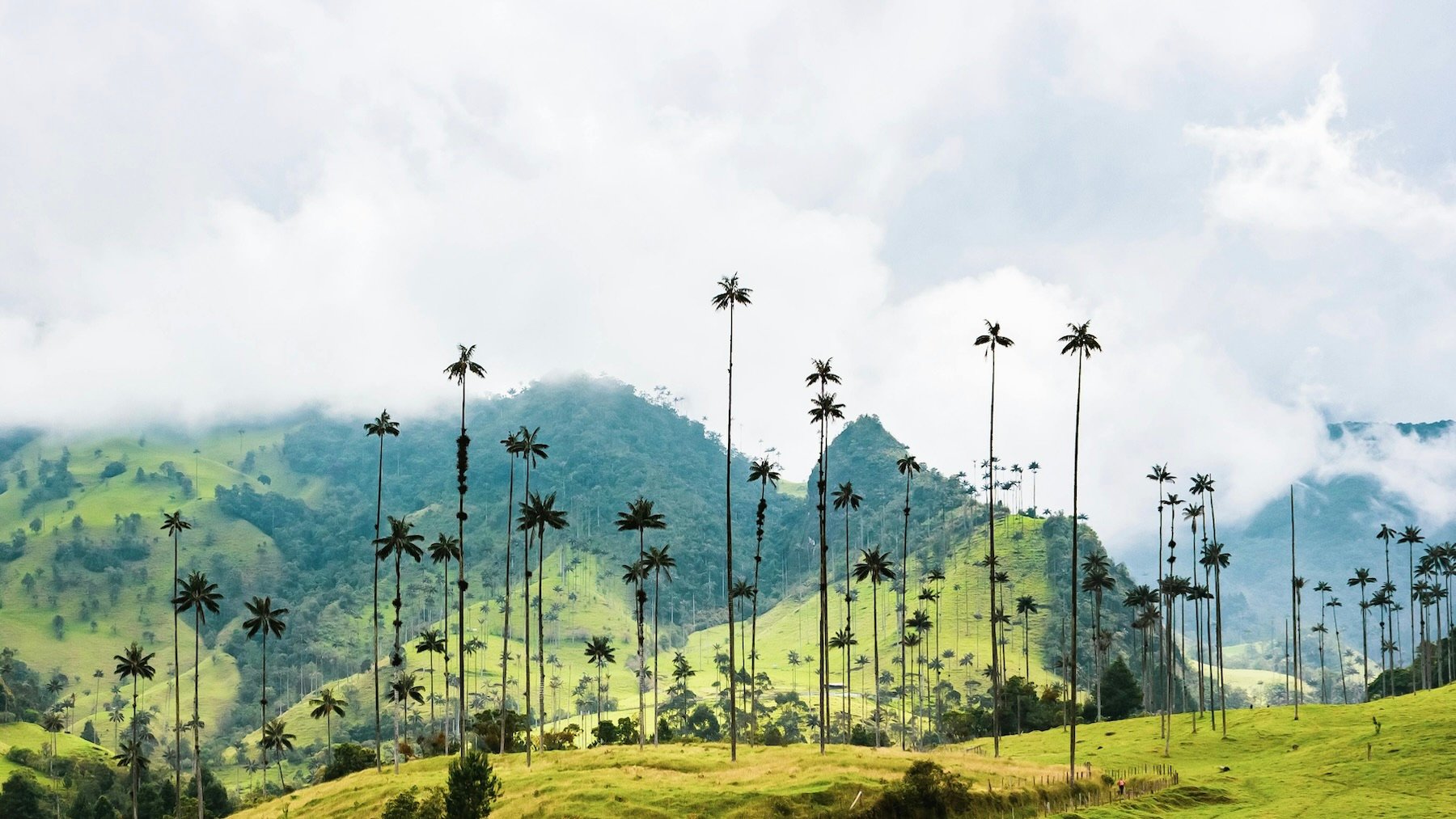 Colombia.