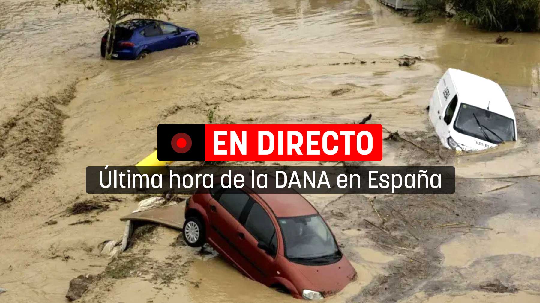 Última hora de la DANA en España, en directo.