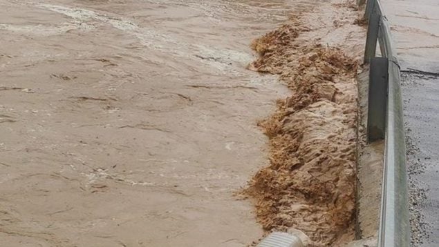 Se desborda el río Guadalmedina en Casabermeja (Málaga).