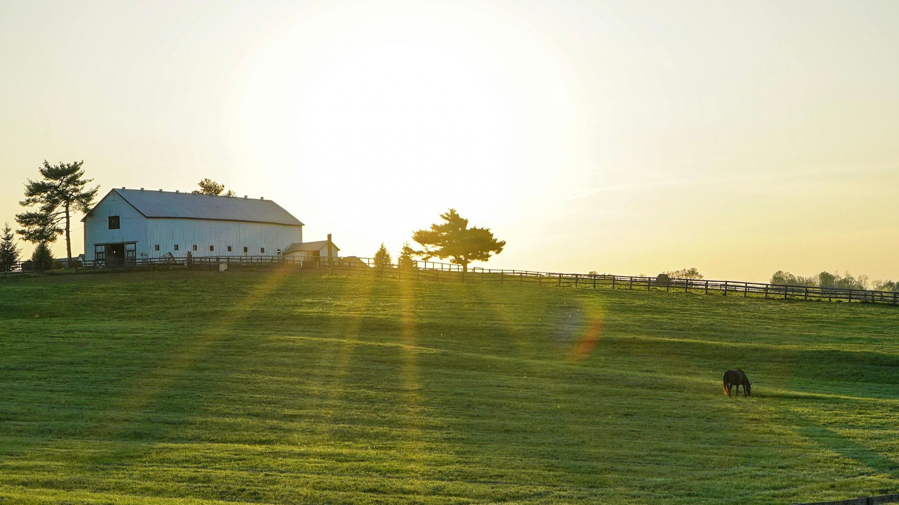 Granja. Foto: Pexels.