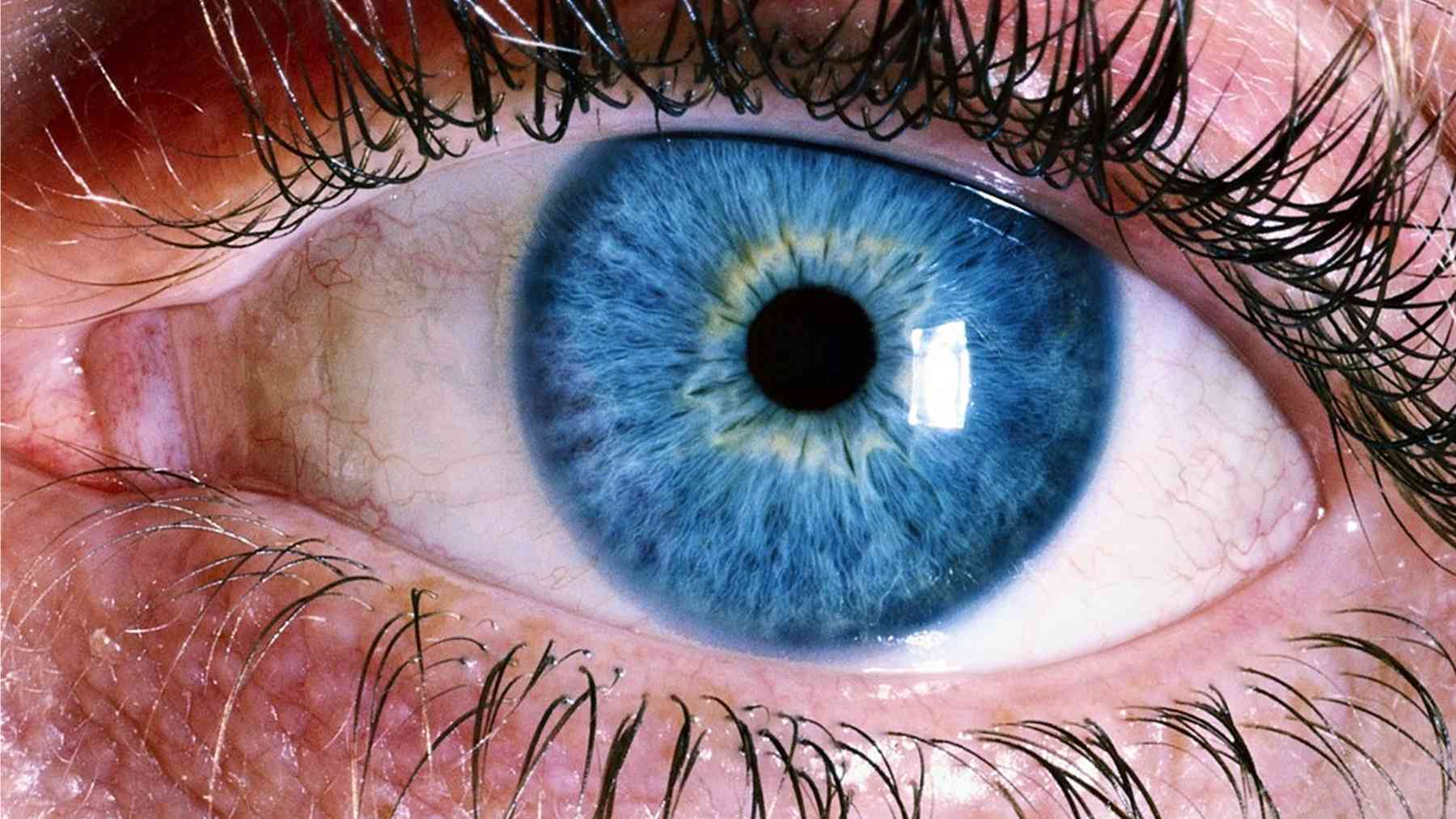 Ojo de color azul.